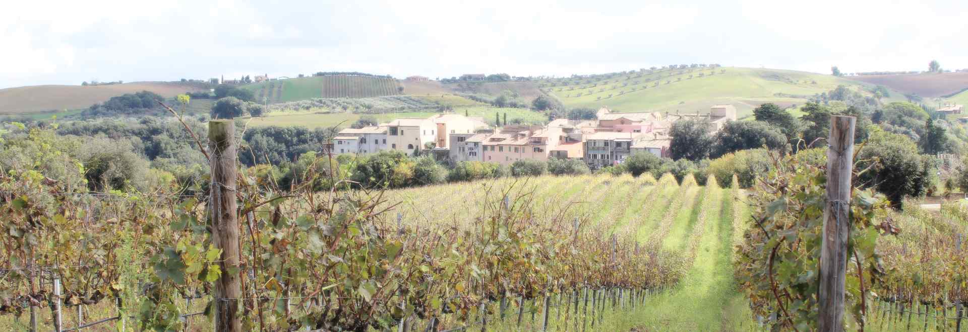 Cantina ed azienda vitivinicola