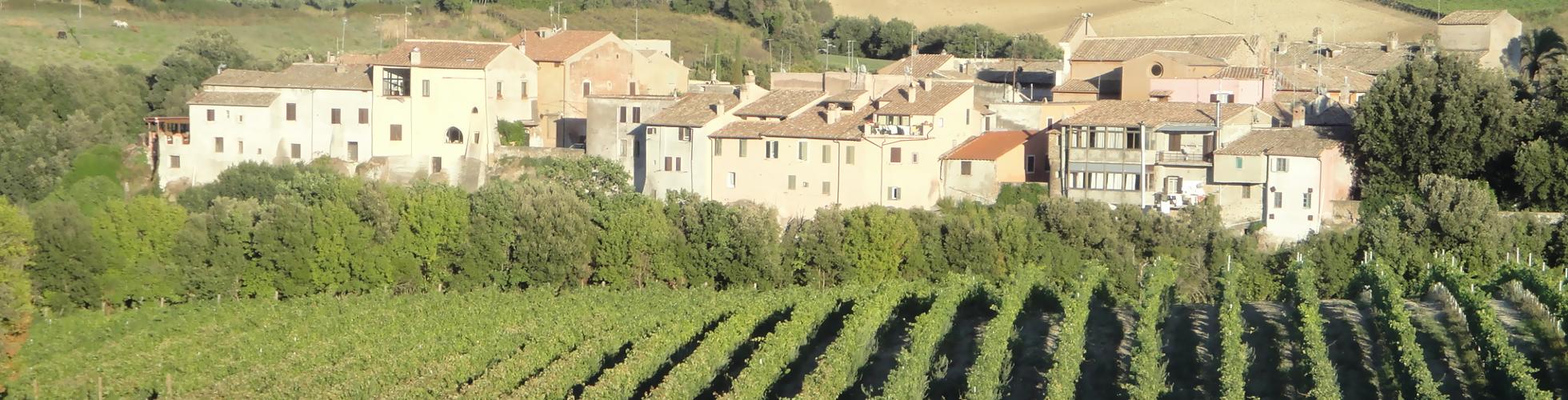 Cantina dei vini La Valle di Ceri